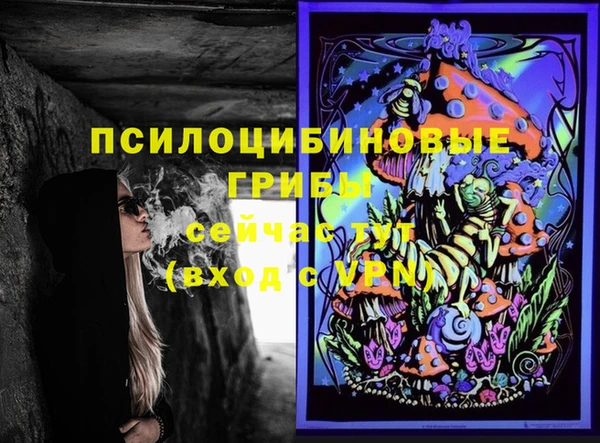 PSILOCYBIN Шарыпово