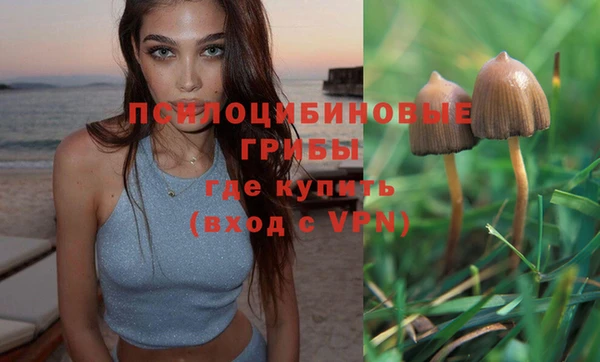 скорость mdpv Шали